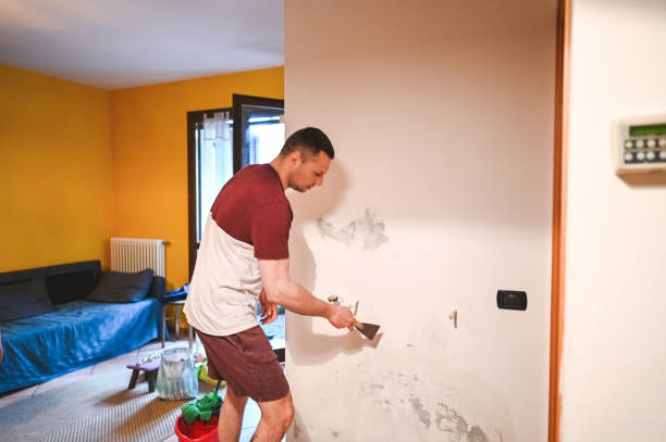 Trusted Tolono, IL Mold Removal Experts