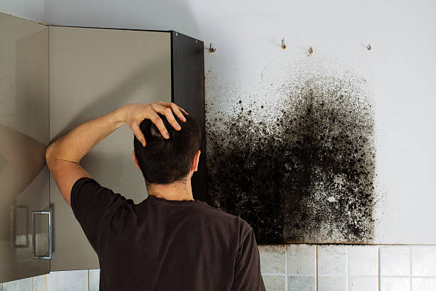 Water Damage Restoration in Tolono, IL